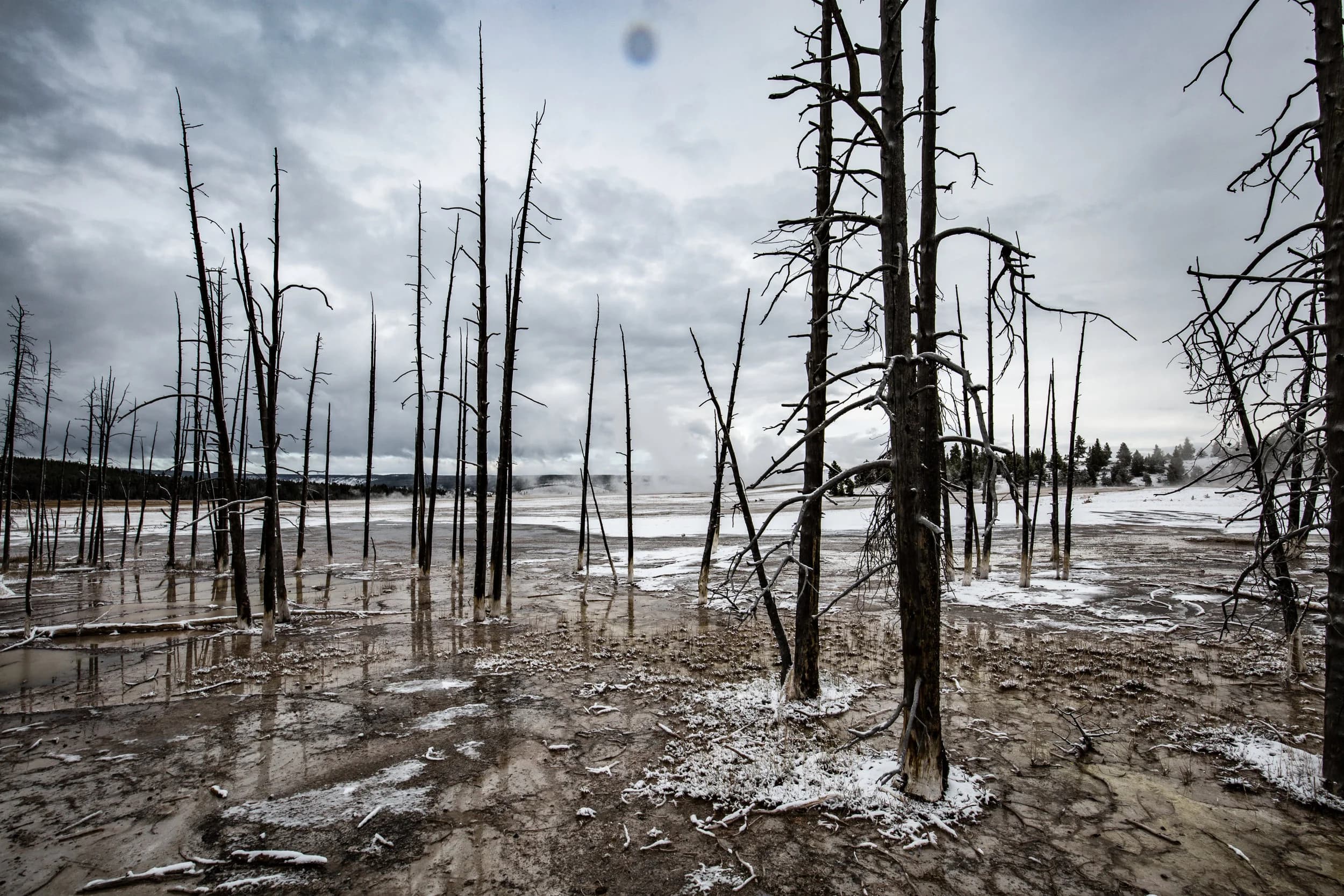 The Dead of Winter